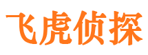 江孜市侦探调查公司